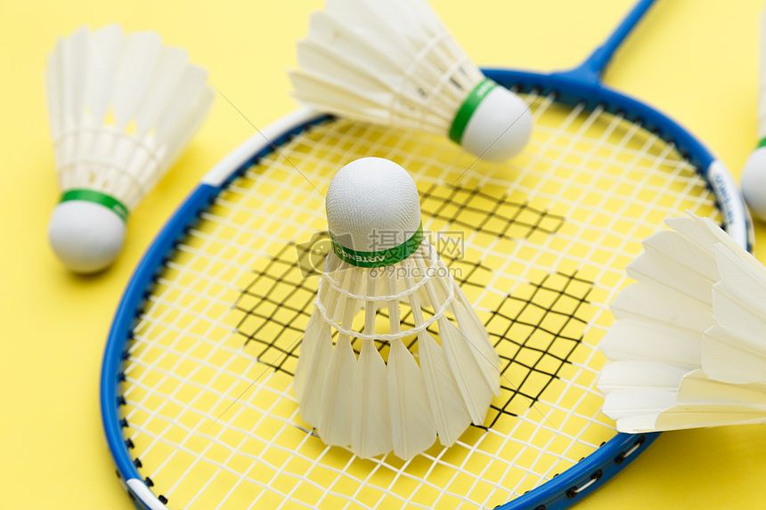 魔术队的全 魔术队的全