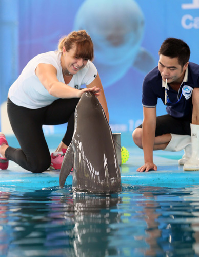 他在巴黎申 他在巴黎申