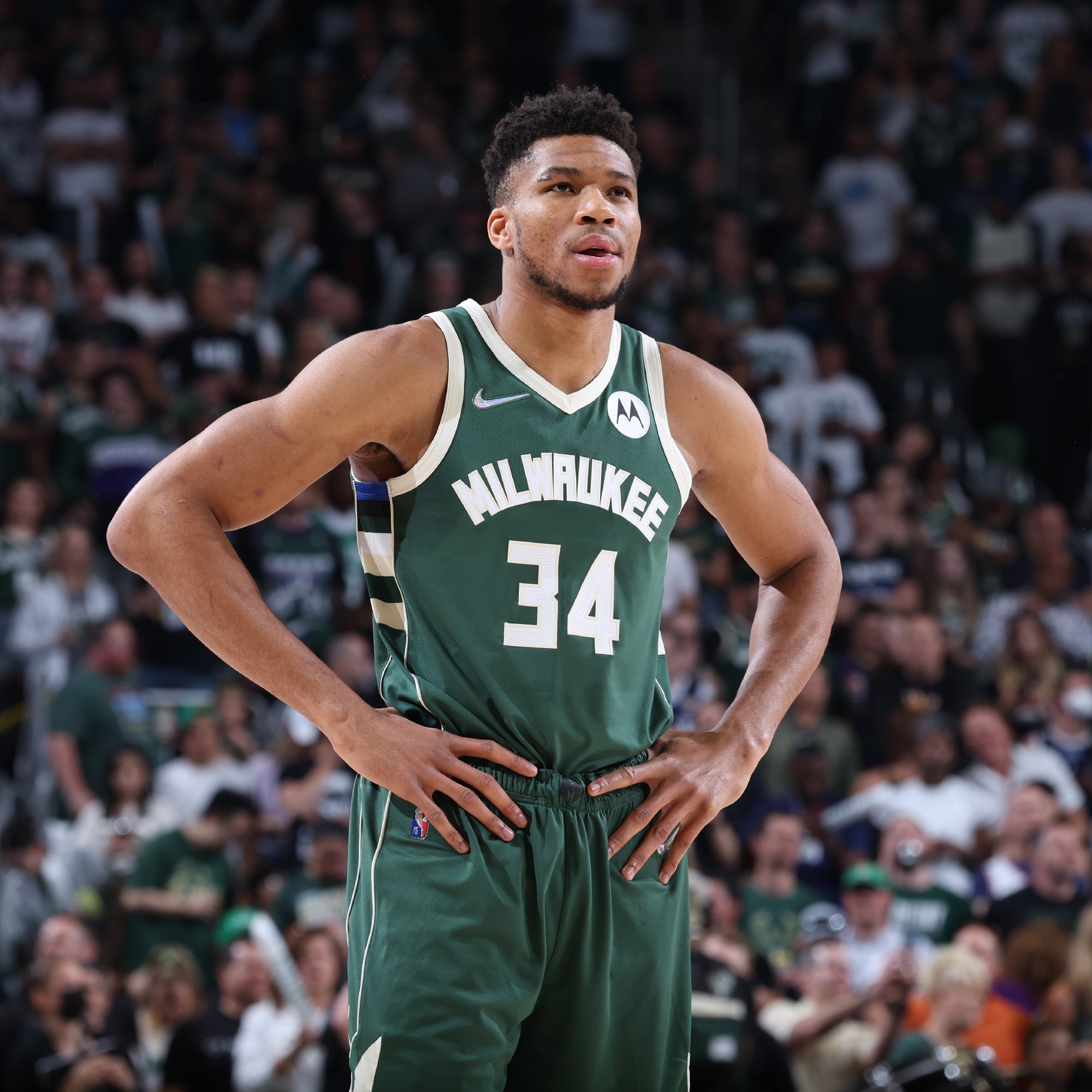 分期与附加 分期与附加